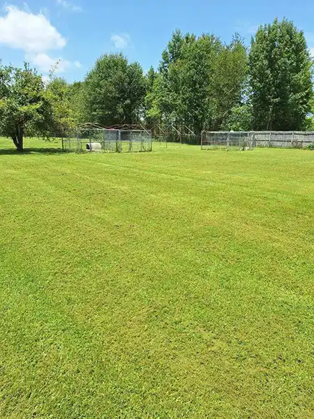 Lawn Company Hazel Green, AL