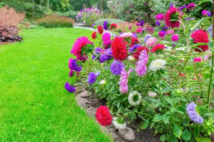 Experienced Flower Bed Edging Hazel Green, AL