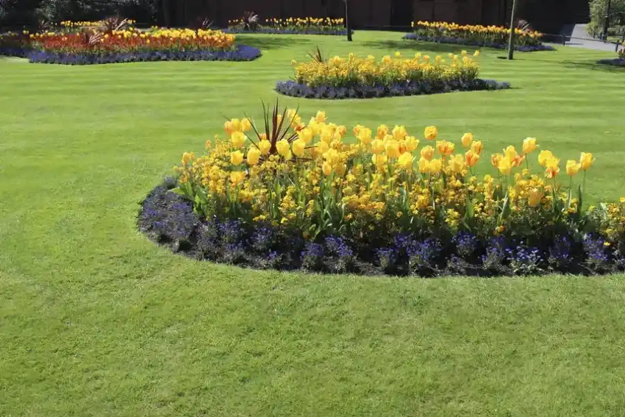 Expert Flower Bed Edging Hazel Green, AL