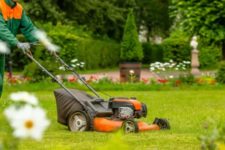 Professional Lawn Maintenance Hazel Green, AL