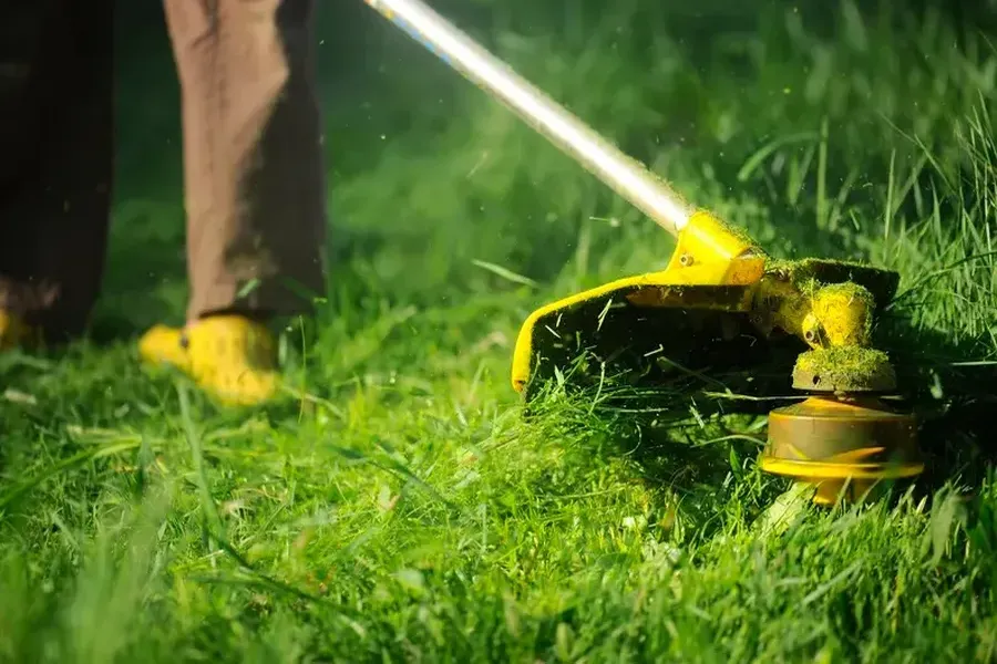 Tips For Choosing The Right Grass Cutting Frequency Hazel Green, AL